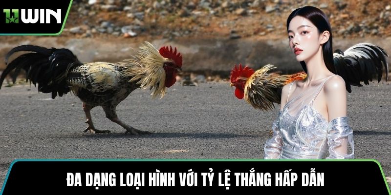 Đa dạng loại hình với tỷ lệ thắng hấp dẫn