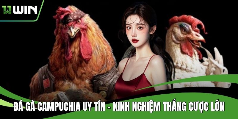 Đá Gà Campuchia Uy Tín - Kinh Nghiệm Thắng Cược Lớn