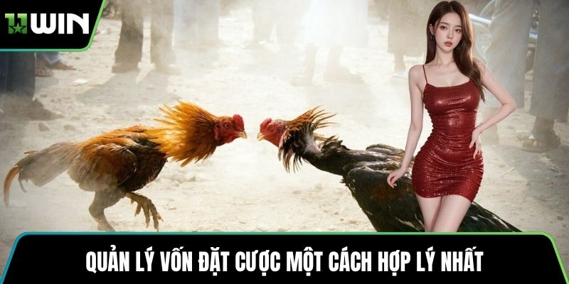 Quản lý vốn đặt cược một cách hợp lý nhất
