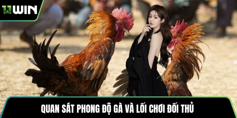 Quan sát phong độ gà và lối chơi đối thủ 